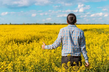 Hardal tarlasında çiftçi. Seçici odaklanma. Doğa.