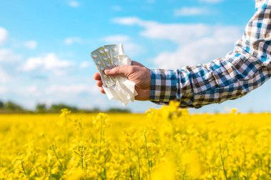 Sarı tarla çiçekleri alerjisi. Seçici odaklanma. Doğa.
