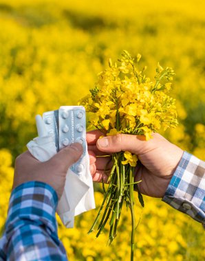 Sarı tarla çiçekleri alerjisi. Seçici odaklanma. Doğa.