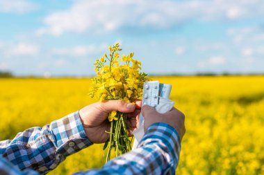 Sarı tarla çiçekleri alerjisi. Seçici odaklanma. Doğa.