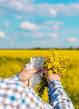 Sarı tarla çiçekleri alerjisi. Seçici odaklanma. Doğa.
