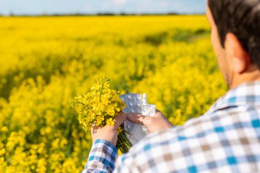 Sarı tarla çiçekleri alerjisi. Seçici odaklanma. Doğa.