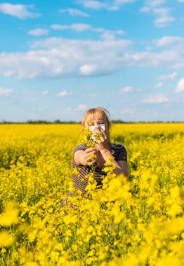 Sarı tarla çiçekleri alerjisi. Seçici odaklanma. Doğa.