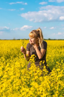 Sarı tarla çiçekleri alerjisi. Seçici odaklanma. Doğa.
