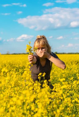 Sarı tarla çiçekleri alerjisi. Seçici odaklanma. Doğa.