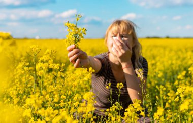 Sarı tarla çiçekleri alerjisi. Seçici odaklanma. Doğa.