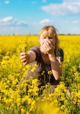 Sarı tarla çiçekleri alerjisi. Seçici odaklanma. Doğa.