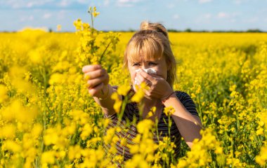 Sarı tarla çiçekleri alerjisi. Seçici odaklanma. Doğa.