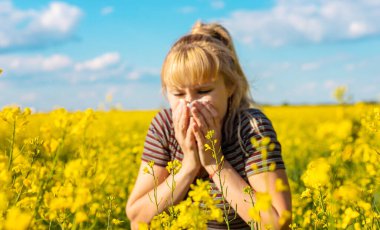 Sarı tarla çiçekleri alerjisi. Seçici odaklanma. Doğa.