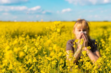 Sarı tarla çiçekleri alerjisi. Seçici odaklanma. Doğa.