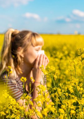 Sarı tarla çiçekleri alerjisi. Seçici odaklanma. Doğa.
