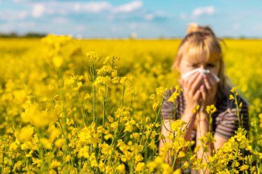 Sarı tarla çiçekleri alerjisi. Seçici odaklanma. Doğa.