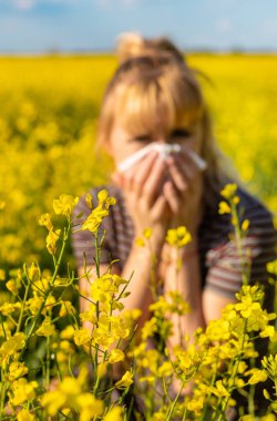 Sarı tarla çiçekleri alerjisi. Seçici odaklanma. Doğa.