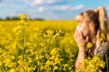 Sarı tarla çiçekleri alerjisi. Seçici odaklanma. Doğa.