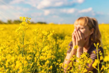 Sarı tarla çiçekleri alerjisi. Seçici odaklanma. Doğa.