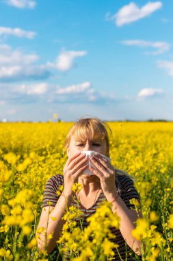 Sarı tarla çiçekleri alerjisi. Seçici odaklanma. Doğa.