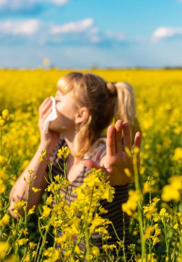 Sarı tarla çiçekleri alerjisi. Seçici odaklanma. Doğa.