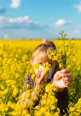 Sarı tarla çiçekleri alerjisi. Seçici odaklanma. Doğa.
