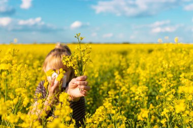 Sarı tarla çiçekleri alerjisi. Seçici odaklanma. Doğa.
