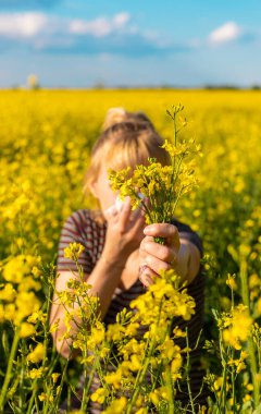 Sarı tarla çiçekleri alerjisi. Seçici odaklanma. Doğa.