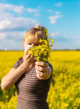 Sarı tarla çiçekleri alerjisi. Seçici odaklanma. Doğa.