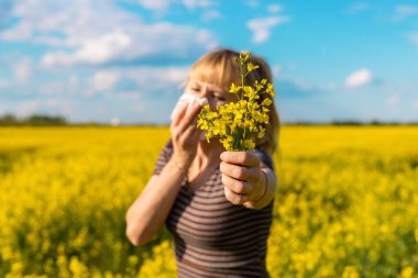 Sarı tarla çiçekleri alerjisi. Seçici odaklanma. Doğa.