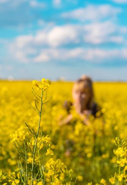 Sarı tarla çiçekleri alerjisi. Seçici odaklanma. Doğa.