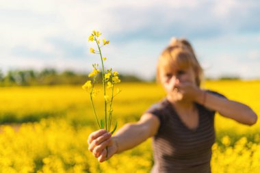 Sarı tarla çiçekleri alerjisi. Seçici odaklanma. Doğa.