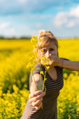 Sarı tarla çiçekleri alerjisi. Seçici odaklanma. Doğa.