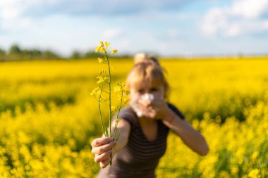Sarı tarla çiçekleri alerjisi. Seçici odaklanma. Doğa.