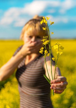 Sarı tarla çiçekleri alerjisi. Seçici odaklanma. Doğa.