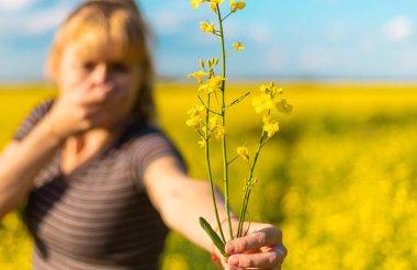 Sarı tarla çiçekleri alerjisi. Seçici odaklanma. Doğa.
