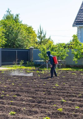 Bahçeyi yabani otlardan arındırın. Seçici odaklanma. Doğa.