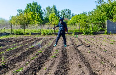 Bahçeyi yabani otlardan arındırın. Seçici odaklanma. Doğa.