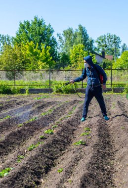 Bahçeyi yabani otlardan arındırın. Seçici odaklanma. Doğa.