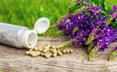 Azgın keçi ağacı alternatif ilaç çıkartır. Seçici Odaklanma. Doğa.