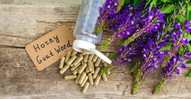 Azgın keçi ağacı alternatif ilaç çıkartır. Seçici Odaklanma. Doğa.