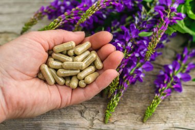 Azgın keçi ağacı alternatif ilaç çıkartır. Seçici Odaklanma. Doğa.