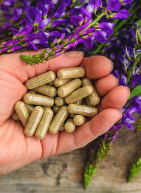 Azgın keçi ağacı alternatif ilaç çıkartır. Seçici Odaklanma. Doğa.