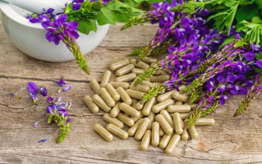 Azgın keçi ağacı alternatif ilaç çıkartır. Seçici Odaklanma. Doğa.