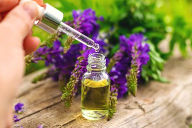 Azgın keçi ağacı alternatif ilaç çıkartır. Seçici Odaklanma. Doğa.