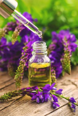 Azgın keçi ağacı alternatif ilaç çıkartır. Seçici Odaklanma. Doğa.