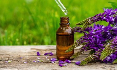 Azgın keçi ağacı alternatif ilaç çıkartır. Seçici Odaklanma. Doğa.