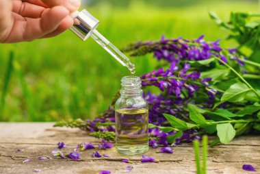 Azgın keçi ağacı alternatif ilaç çıkartır. Seçici Odaklanma. Doğa.