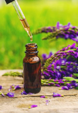 Azgın keçi ağacı alternatif ilaç çıkartır. Seçici Odaklanma. Doğa.