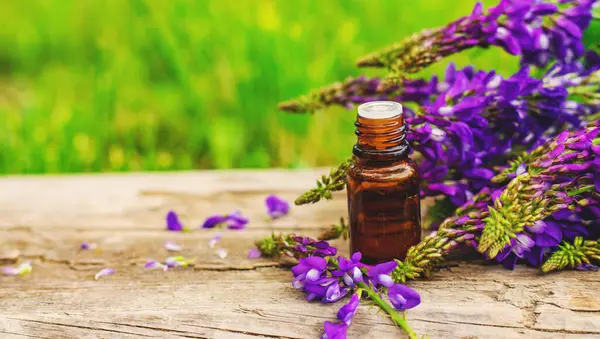 Azgın keçi ağacı alternatif ilaç çıkartır. Seçici Odaklanma. Doğa.