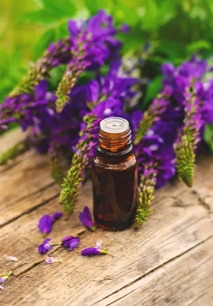 Azgın keçi ağacı alternatif ilaç çıkartır. Seçici Odaklanma. Doğa.