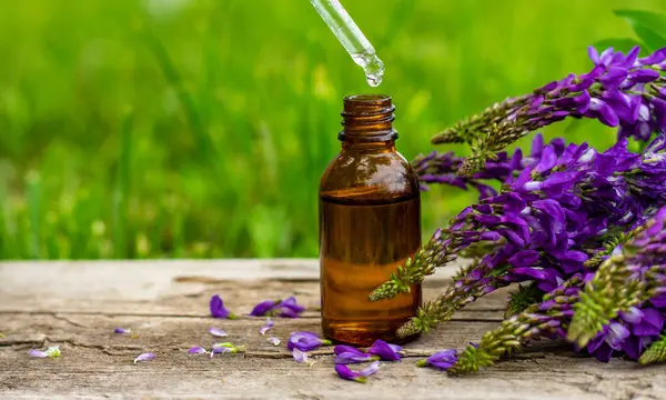 Azgın keçi ağacı alternatif ilaç çıkartır. Seçici Odaklanma. Doğa.