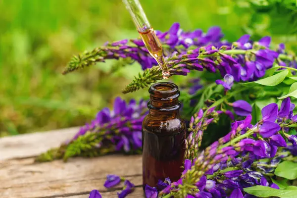 Azgın keçi ağacı alternatif ilaç çıkartır. Seçici Odaklanma. Doğa.