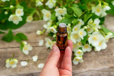 Yasemin yağı ve çiçekler. Seçici odaklanma. Doğa.